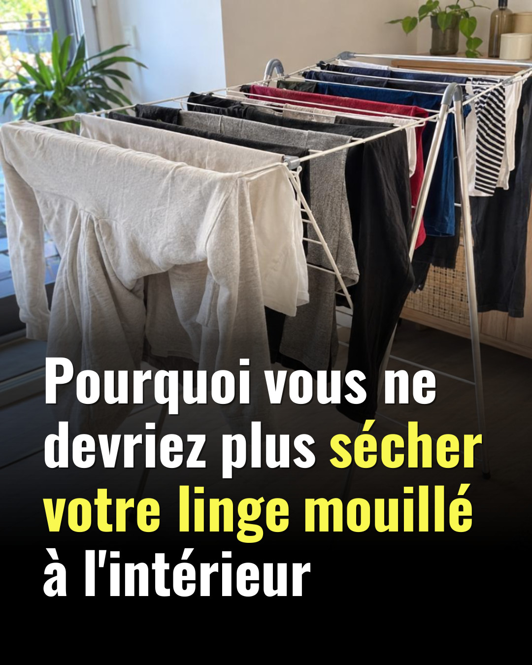 Pourquoi sécher son linge en intérieur est mauvais pour votre maison et votre santé