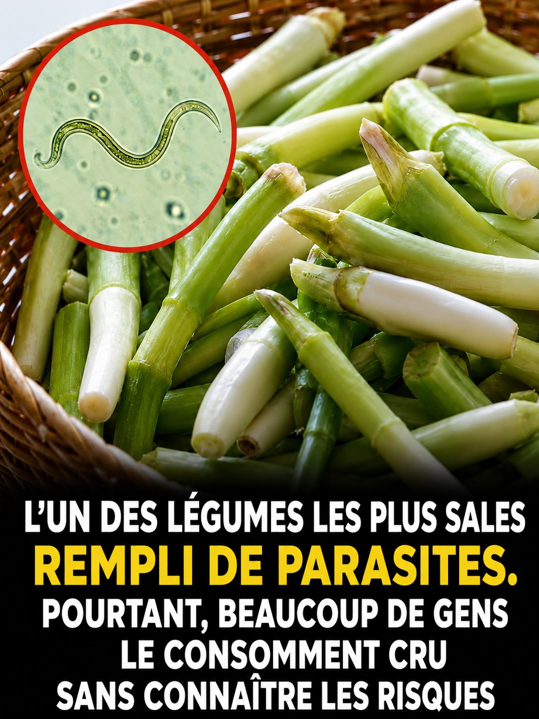 Oignon nouveau : les gestes essentiels pour le consommer sans risque