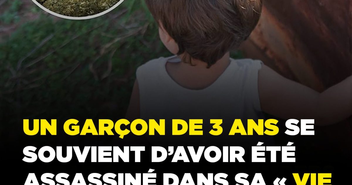 Cet enfant de 3 ans se souvient d'une vie antérieure : les preuves ont stupéfié les scientifiques