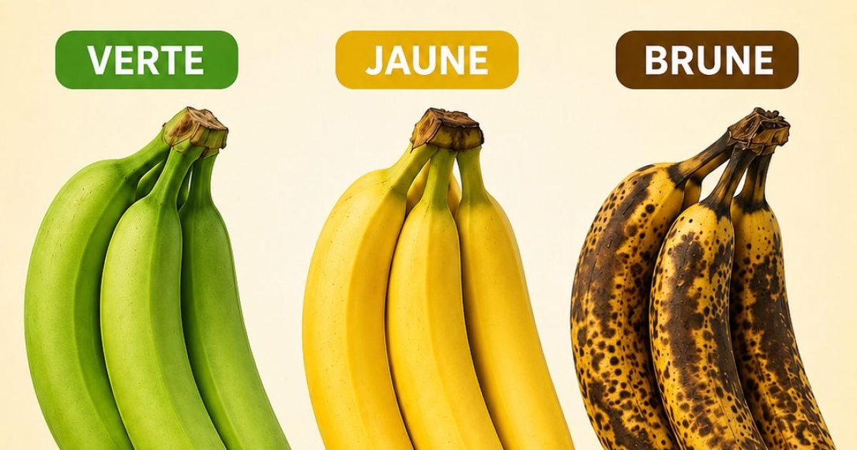 Banane verte, jaune ou tachetée : laquelle est vraiment la meilleure pour votre santé ?