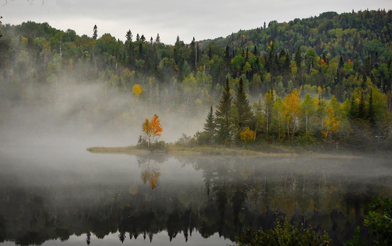 Vue aérienne d'un lac et de forêts au Canada