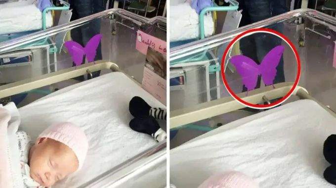 Un autocollant de papillon violet discret sur une couveuse en néonatalogie