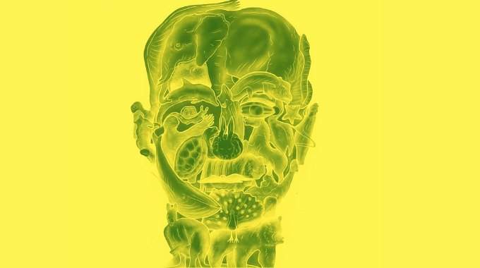 Image d'une illusion d'optique où se cachent plusieurs animaux dans un visage