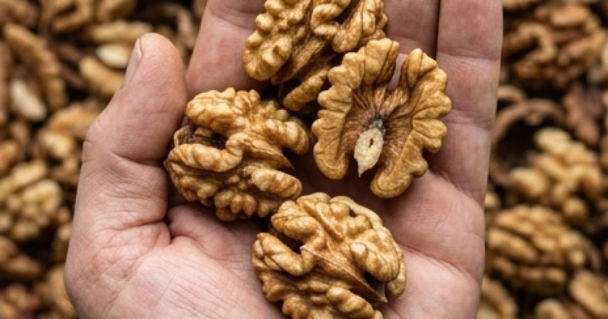 Les bienfaits méconnus des noix : ce que votre corps vous dira merci