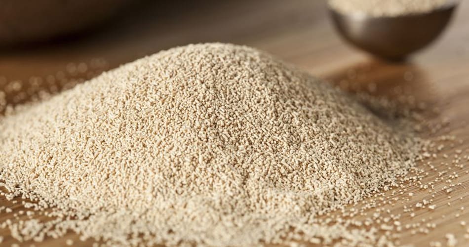 Poudre de levure de bière et cuillère en bois