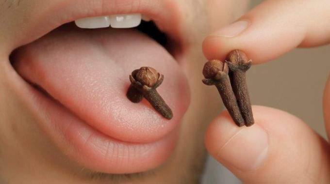 Personne tenant deux clous de girofle dans la paume de la main