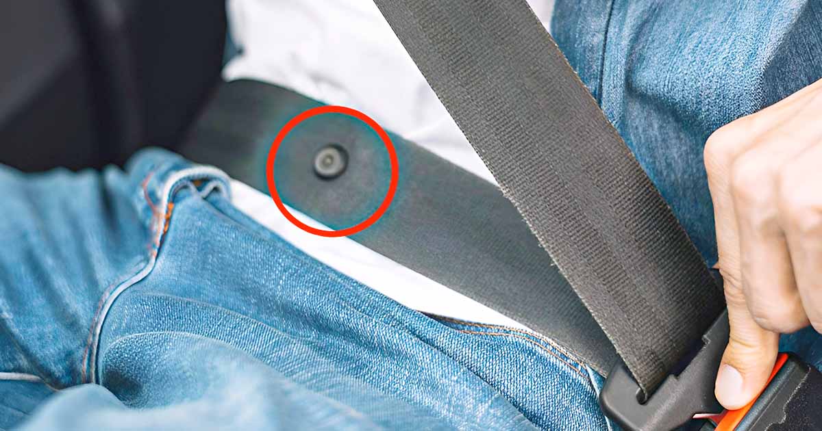 Gros plan sur le petit bouton présent sur la sangle d'une ceinture de sécurité de voiture