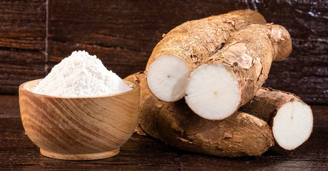 La racine nourricière qui cache un poison mortel : le paradoxe du manioc