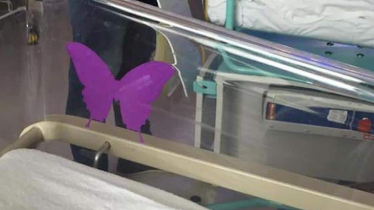 Fondation Skye High et papillon violet