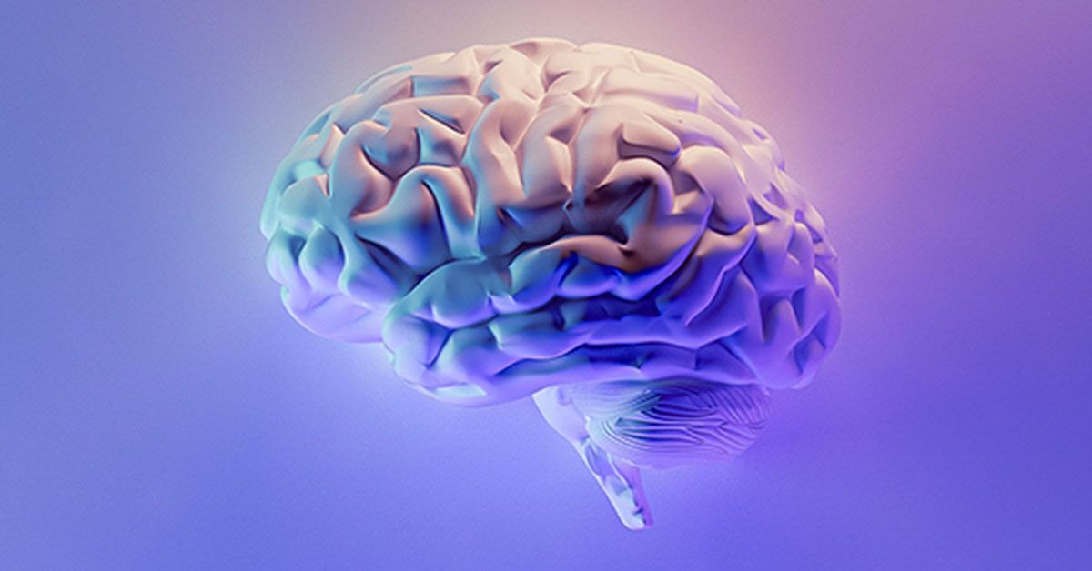 Cerveau en activité