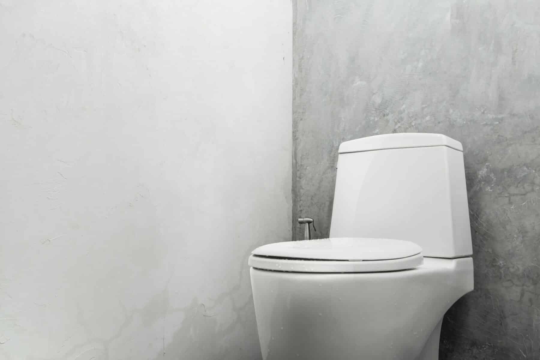 Et si vous vous trompiez depuis toujours sur la bonne manière de vous asseoir sur les toilettes ?
