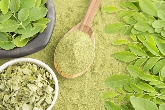 Différentes préparations à base de moringa