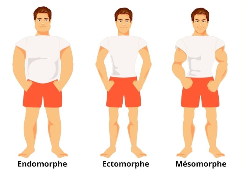 Ectomorphe, mésomorphe ou endomorphe ? Identifiez votre morphologie et apprenez à la mettre en valeur