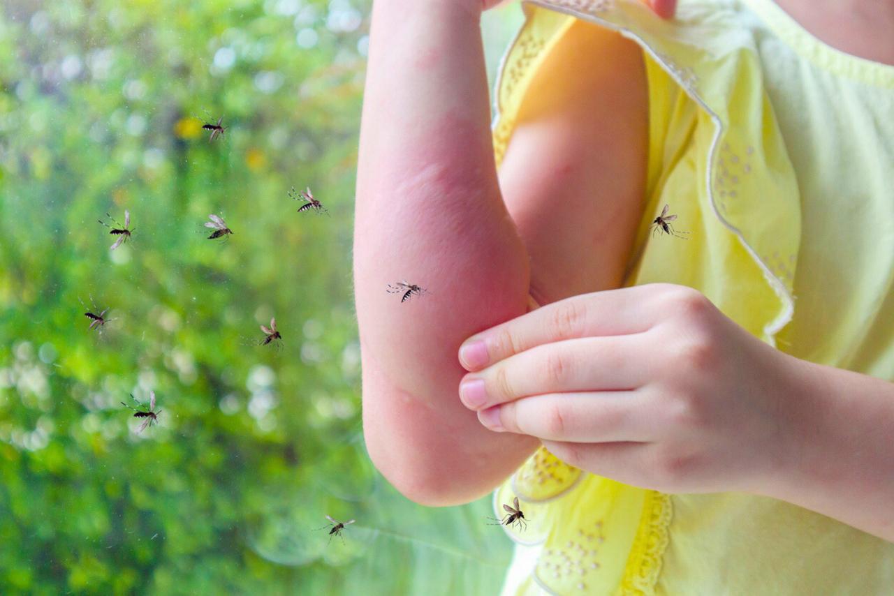 Illustration de moustiques volant autour d'une personne