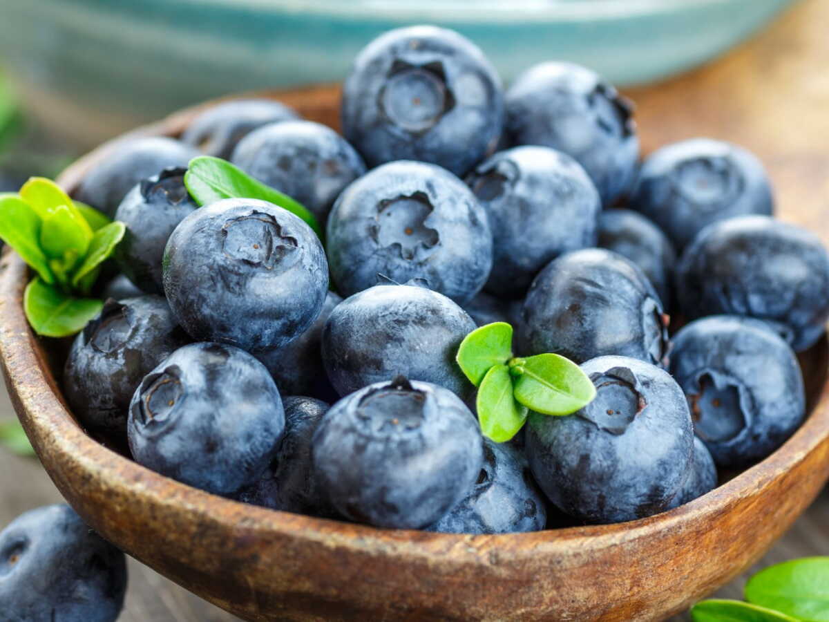 Un bol en bois rempli de myrtilles fraîches d'un bleu profond, évoquant fraîcheur et santé.