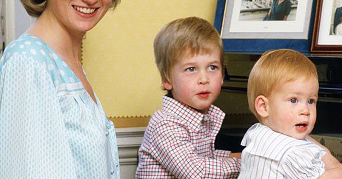 William et Harry : la promesse secrète faite à leur mère Diana qui change tout