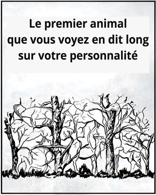 Test visuel : quel animal apercevez-vous en premier et que cela dit-il de vous ?
