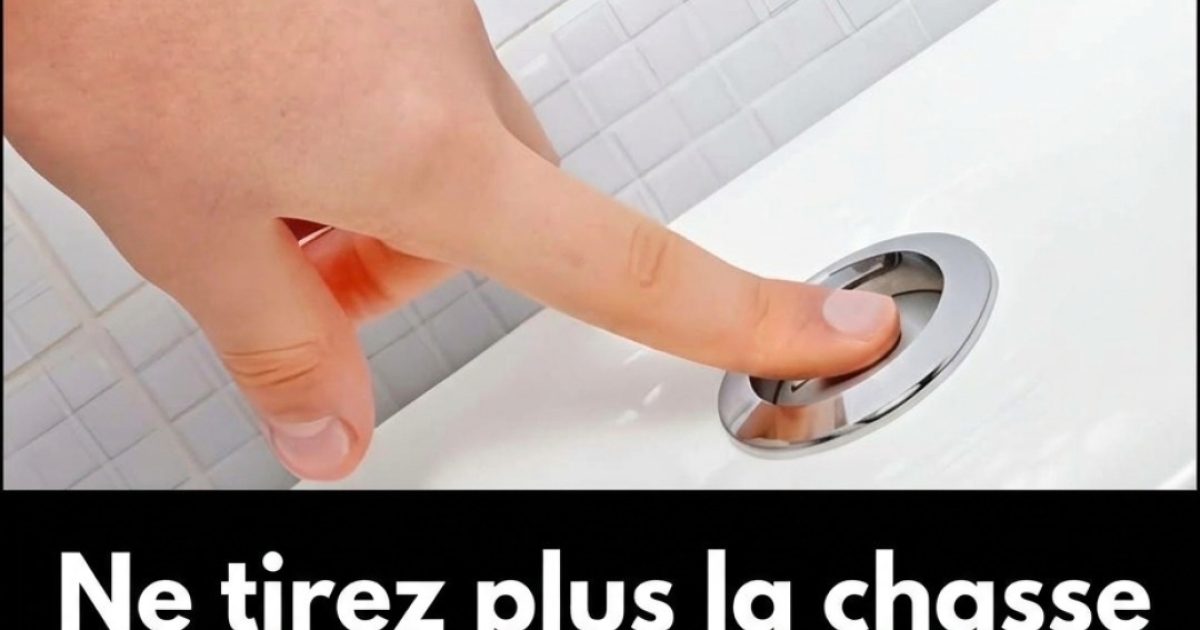 Toilettes : l'astuce écologique ultra-simple pour économiser des milliers de litres d'eau par an