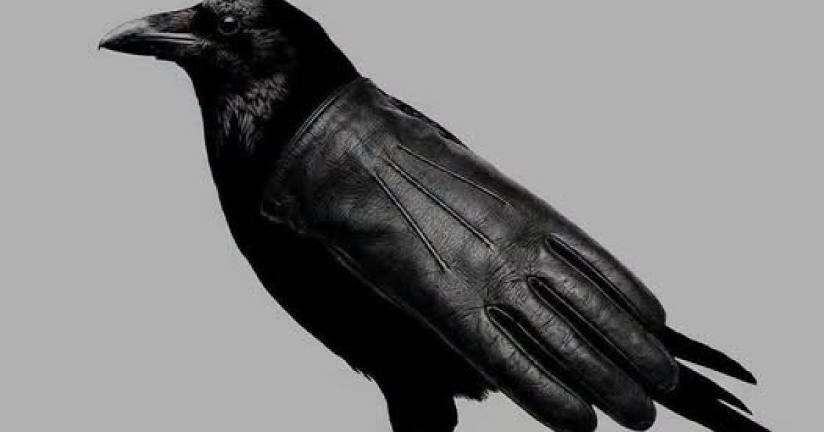 Illusion d'optique : corbeau ou gant, ce premier regard révèle qui vous êtes vraiment
