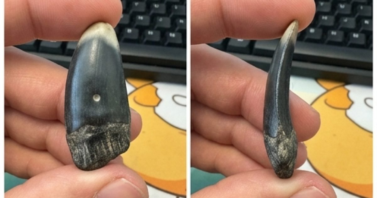 Sucre caché, prise de poids et santé : ce que vous devez vraiment savoir