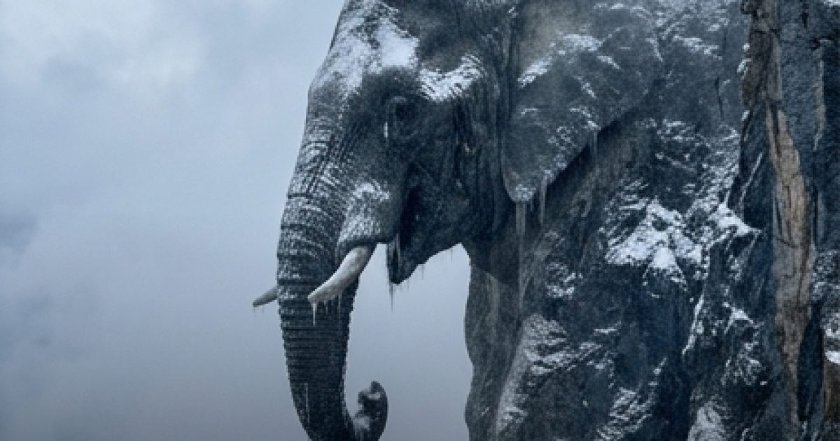 Test visuel : serpent ou éléphant — ce que votre premier regard dit de vous