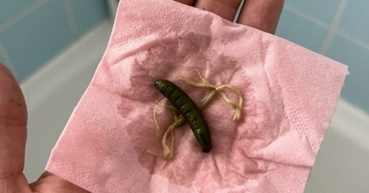 Cet objet bizarre trouvé dans la salle de bain a semé la panique… avant que la réponse ne coule de source