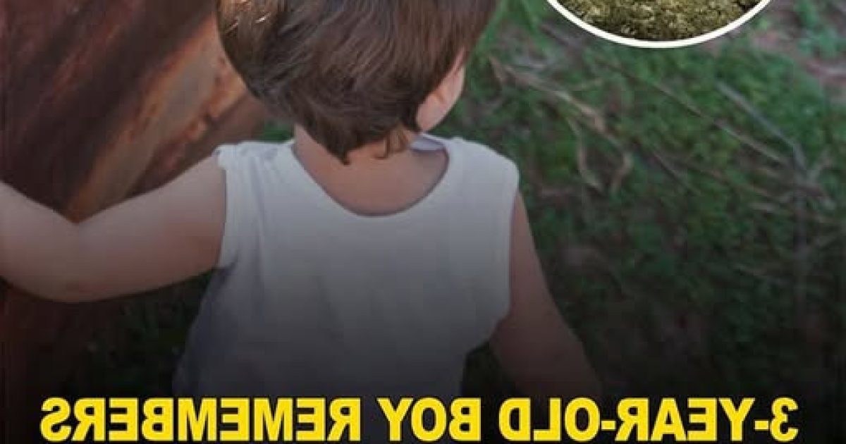 Cet enfant de 3 ans connaissait l'emplacement d'un corps enterré : une histoire qui défie toute explication