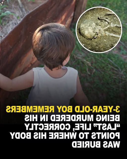 Cet enfant de 3 ans connaissait l'emplacement d'un corps enterré : une histoire qui défie toute explication