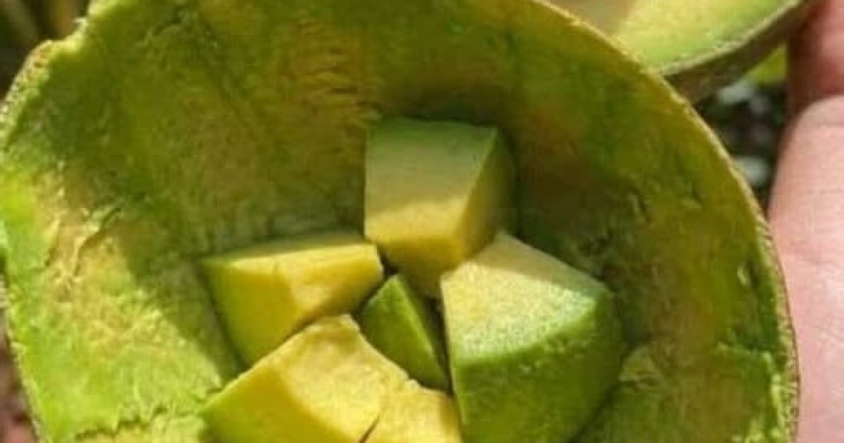 Avocat : 7 bonnes raisons de l'inviter dans votre assiette chaque jour