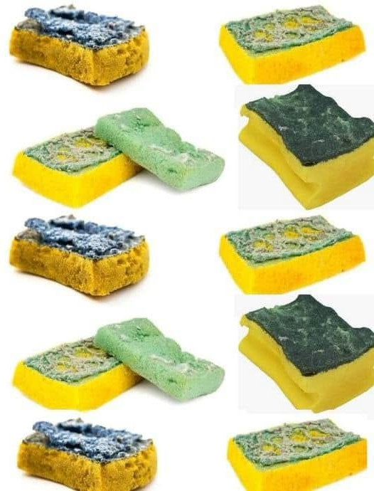 Vieilles éponges : l'astuce jardin écologique qui va révolutionner votre arrosage