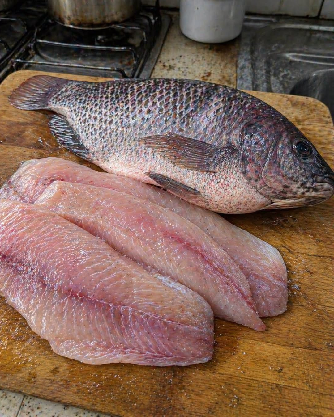 Tilapia : ce qu'il faut vraiment savoir avant d'en mettre dans son assiette