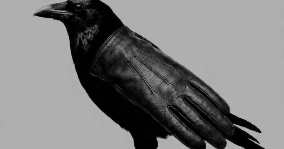 Illusion d'optique : corbeau ou gant, ce que votre premier regard dit de vous