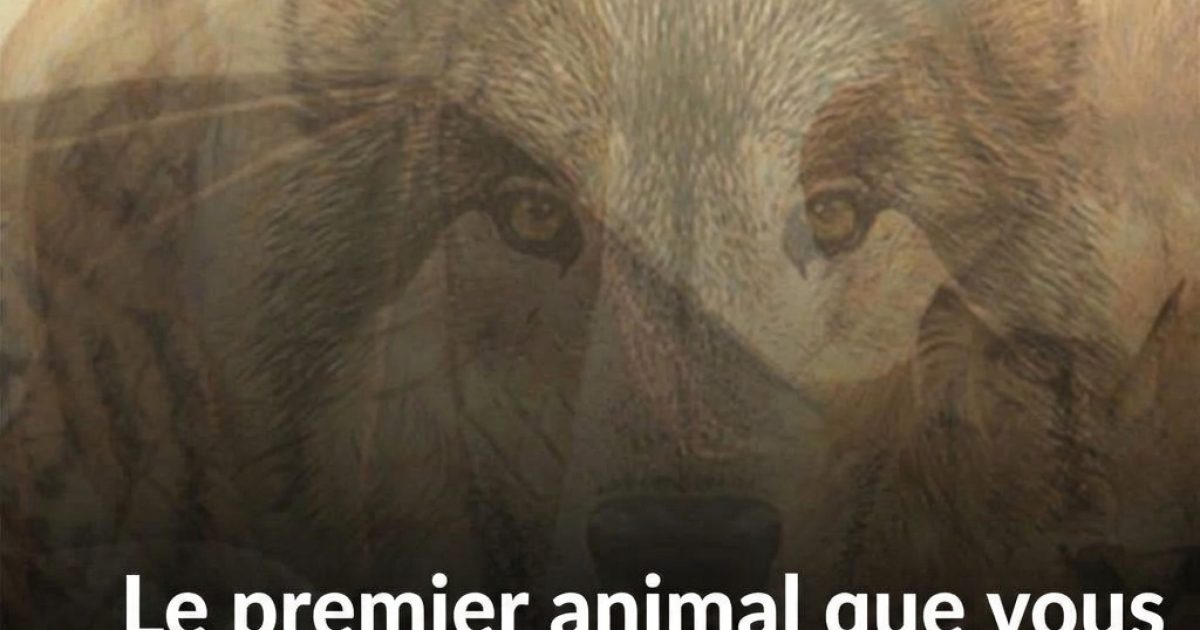 Test de personnalité : quel animal voyez-vous en premier dans cette image ? Ce que cela révèle sur vous