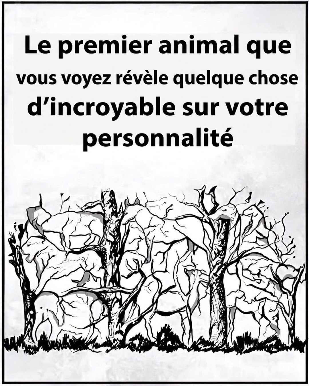 Quel animal avez-vous vu en premier ? Ce que cela révèle sur votre personnalité