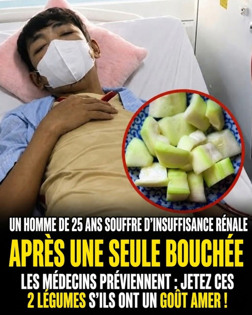 Courges et courgettes amères : ce signal que vous ne devez surtout pas ignorer