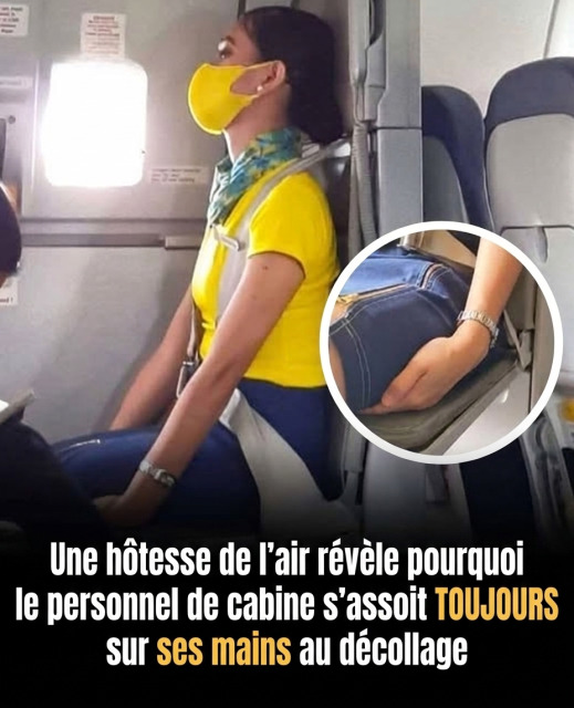 Ce que font secrètement les hôtesses de l'air lors du décollage (et personne ne le remarque)