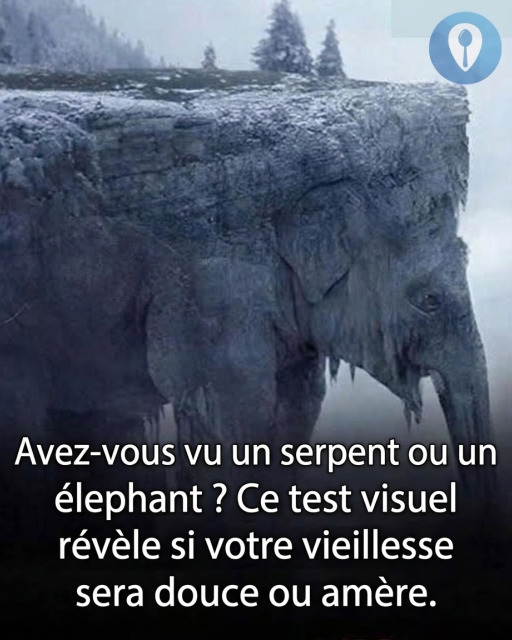 Illusion visuelle : serpent ou éléphant, ce que votre regard dit de votre personnalité