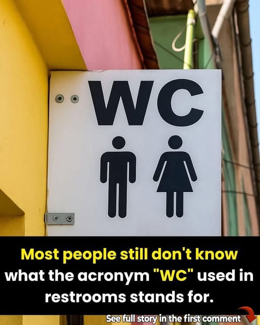 WC : voici enfin ce que signifient vraiment ces deux lettres qu'on voit partout