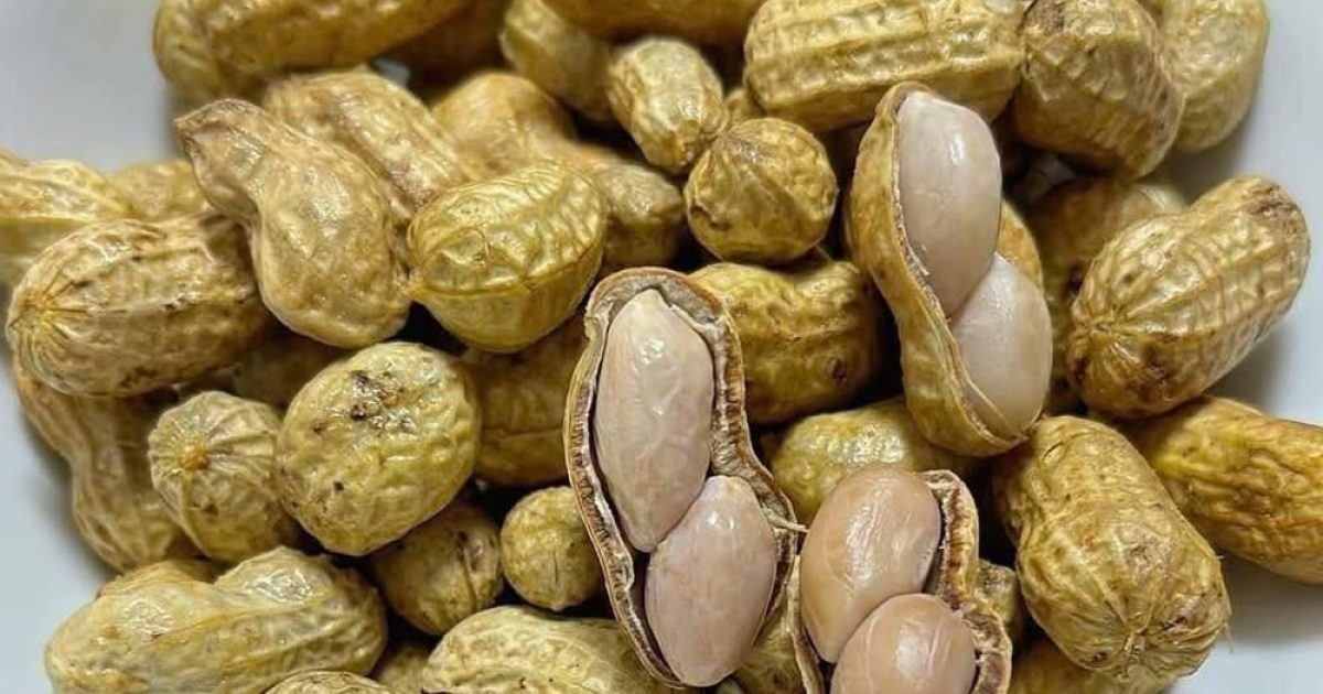 Cacahuètes : ce qu'elles font vraiment à votre corps (et pourquoi la dose compte)