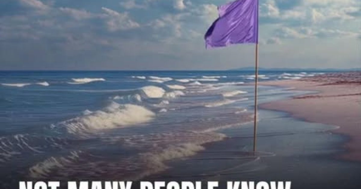 Drapeaux de plage : le guide complet pour comprendre les signaux et se baigner en sécurité
