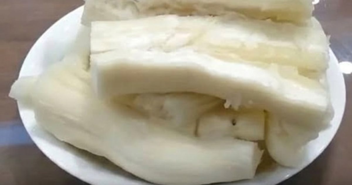 Manioc : pourquoi cet aliment consommé partout dans le monde peut-il être dangereux ?