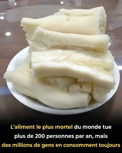 Manioc : pourquoi cet aliment consommé partout dans le monde peut-il être dangereux ?