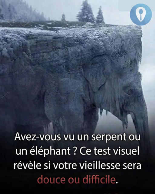 Test visuel : serpent ou éléphant, que voyez-vous en premier ? Ce que cela révèle sur vous