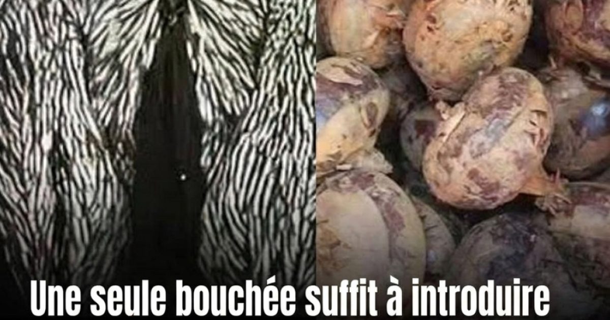Légumes racines et bactéries : ce que les alertes des réseaux sociaux ne vous disent pas vraiment