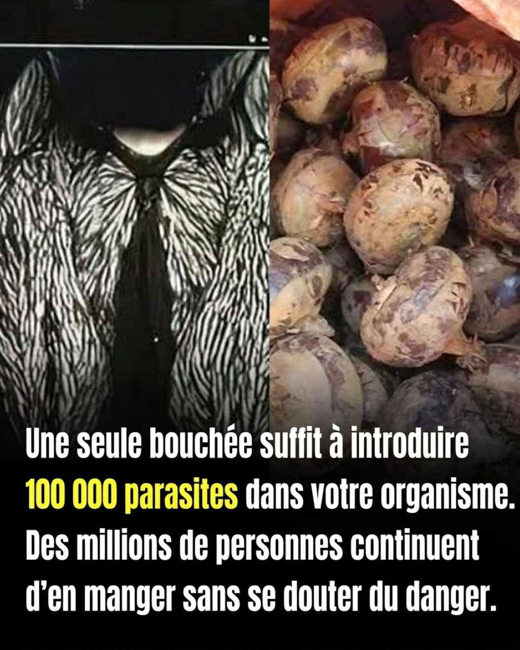 Légumes racines et bactéries : ce que les alertes des réseaux sociaux ne vous disent pas vraiment