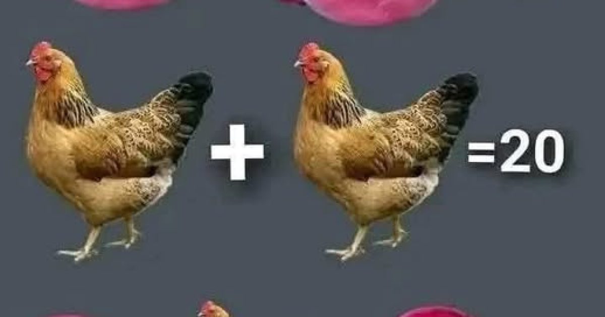 Ce puzzle oignon-poulet défie votre logique mathématique : trouvez-vous la bonne réponse ?