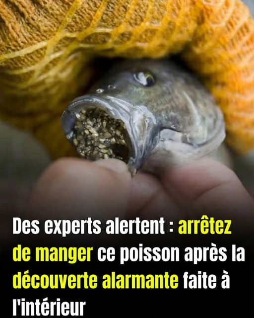 Poisson : comment repérer les signaux d'alerte et le cuisiner sans risque