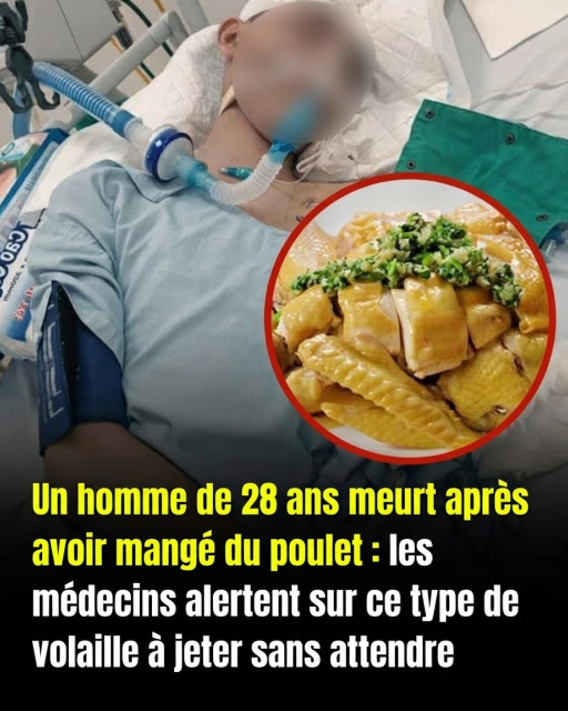Poulet cuit : les erreurs de conservation qui peuvent vous rendre malade (et comment les éviter)
