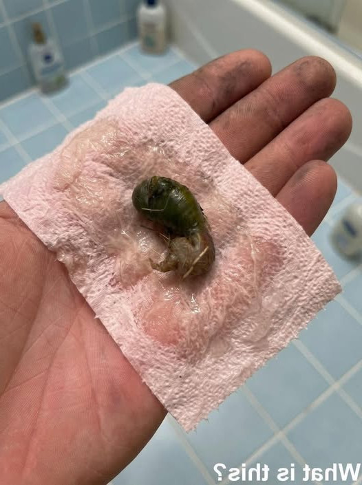 Objet bizarre découvert à la maison : pourquoi on panique (et comment réagir)