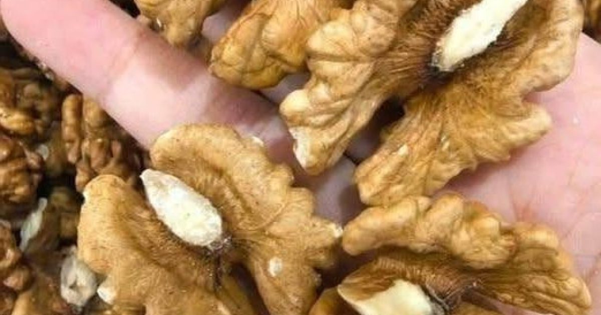 Noix et cerveau : pourquoi ce fruit à coque est votre meilleure alliée cognitive